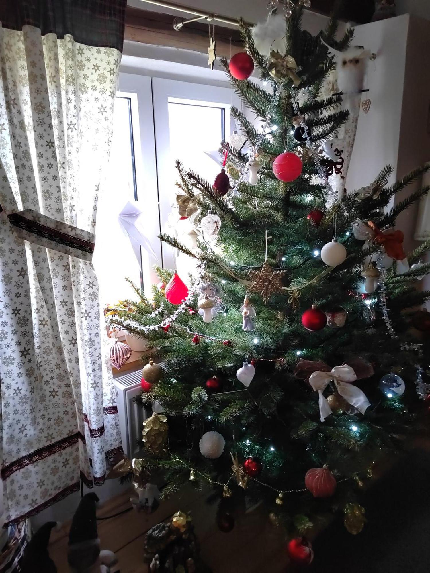 Apartman Amalka Ktis Εξωτερικό φωτογραφία